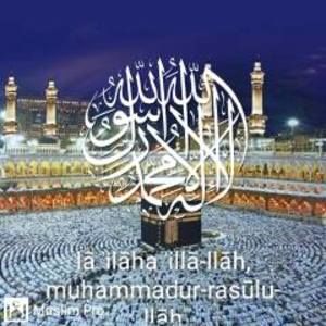 Meet your Posher, Jerome